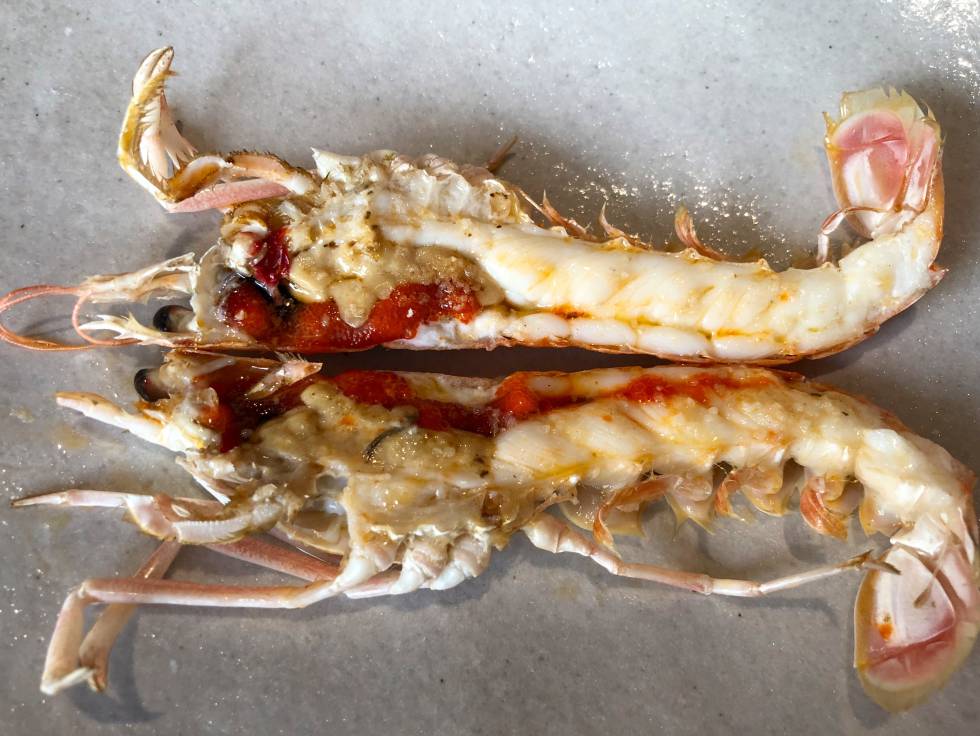 CIGALA ASADA EN LA SALAMANDRA CAPEL