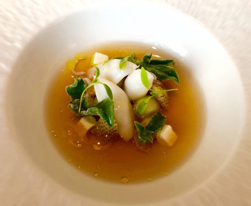SOPA FRIA DE CALAMAR, PEPINO, FRESAS ENCURTIDAS Y BROTES DE CILANTRO CAPEL