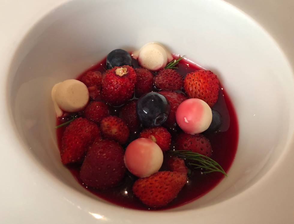 REMOLACHA, FRUTOS ROJOS, LECHE FRESCA Y ENELDO CAPEL