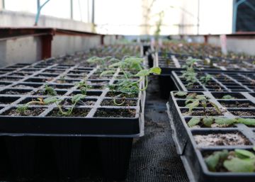 Alimentar el cambio desde la economía social