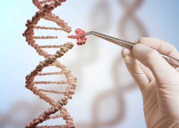 La técnica estrella de edición genética puede incrementar el riesgo de cáncer
