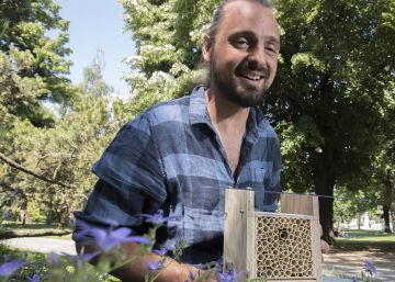 Se acepta abeja como animal de compañía