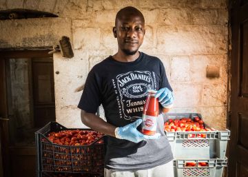 Tomates contra la mafia del campo