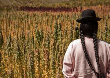 La década dorada contra el hambre en América Latina