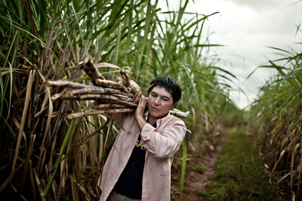 Alba Zaracho es socia de la cooperativa Manduvirá desde el año 2006
