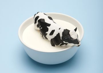 leche