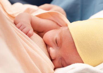Estas son las diferencias entre la leche materna prematura y la de a término