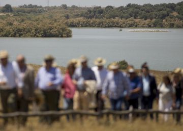 Más que una isleta para los flamencos de Doñana