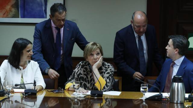 En el centro, la presidenta de la comisión.