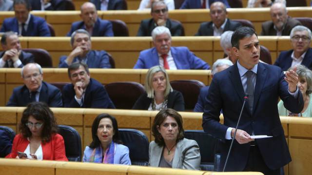 Pedro Sánchez, en el Senado.