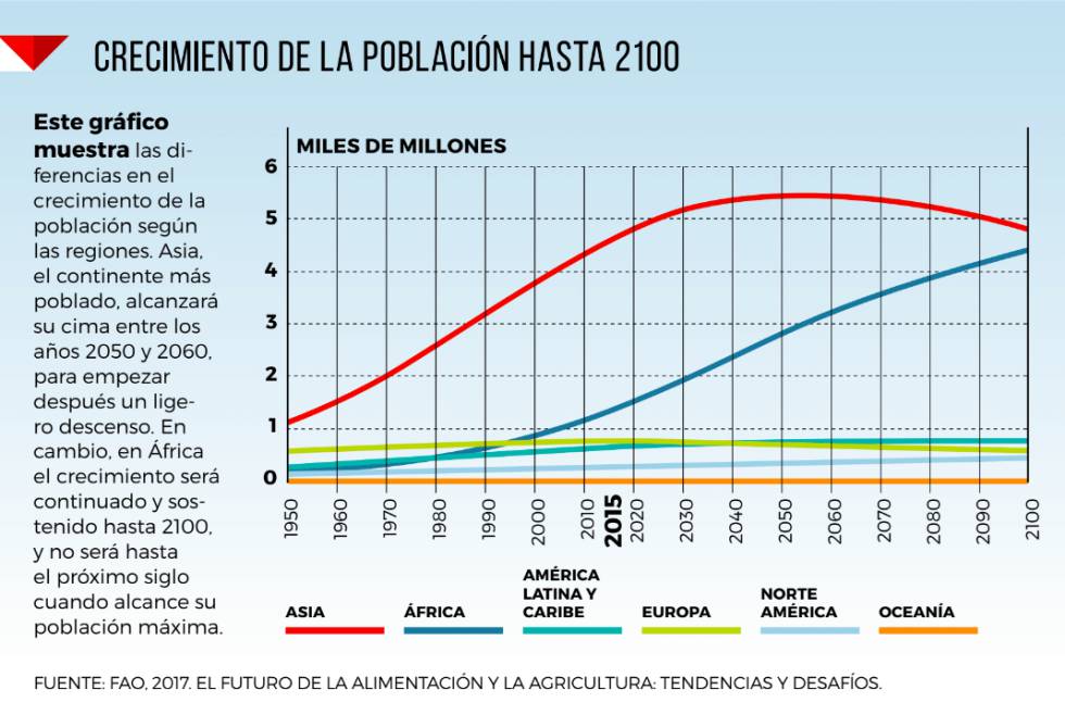 Los tres cereales que nos alimentan desde hace milenios
