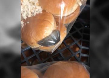 Encuentra un ratón vivo entre el pan de las hamburguesas de un restaurante