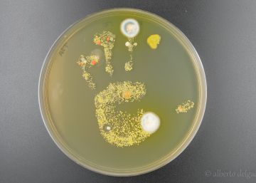Somos microbios