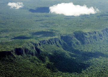 El mundo perdió 15,8 millones de hectáreas de bosque tropical en 2017: el doble del tamaño de Andalucía