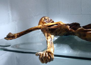 Las últimas horas de Ötzi, la momia de los Alpes