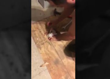 Una familia rompe el suelo de su casa a martillazos para salvar a una gata