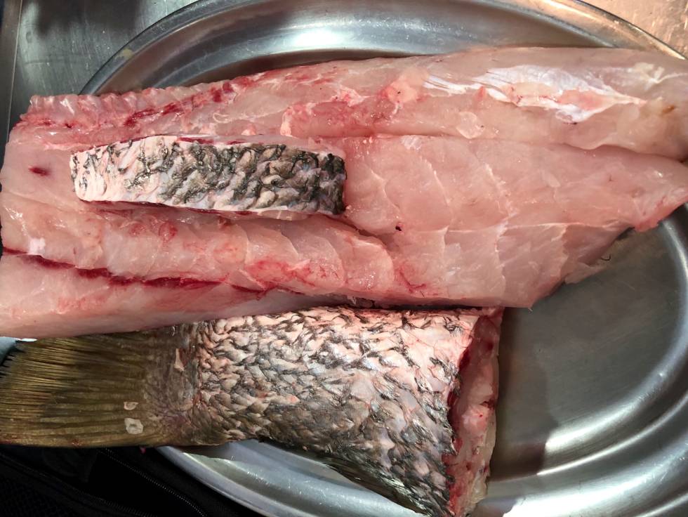 LOMO Y COLA DE UNA CORVINA CAPEL