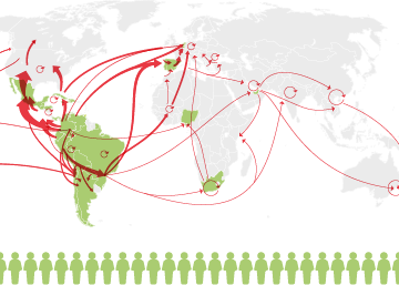 Las rutas de distribución de la cocaína en el mundo