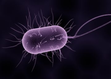 Por qué es tan difícil vencer a las superbacterias