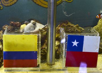 El 'big data' es el pulpo Paul del Mundial de Rusia 2018 y dice que España será subcampeona