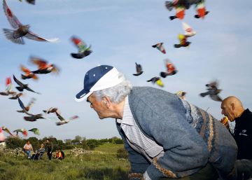 La España de la precariedad, por Ricardo Cases