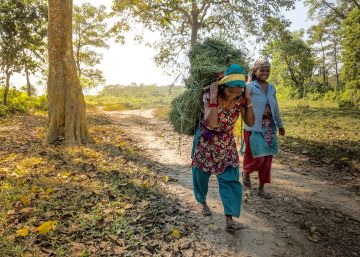A por bosques más femeninos