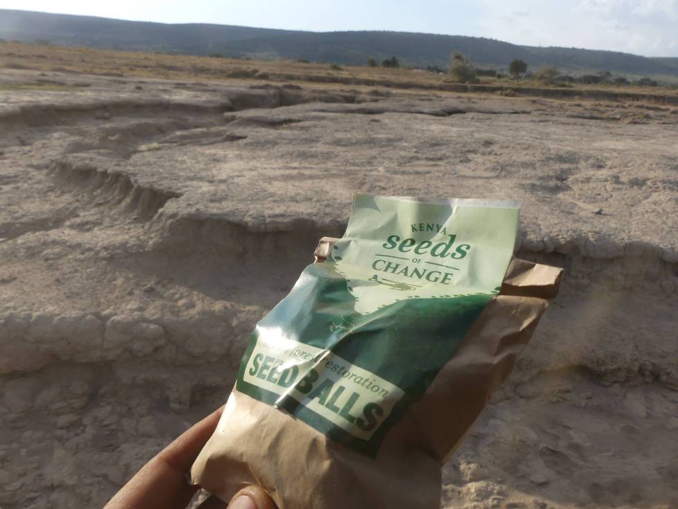 Lanza bombas y reforesta países