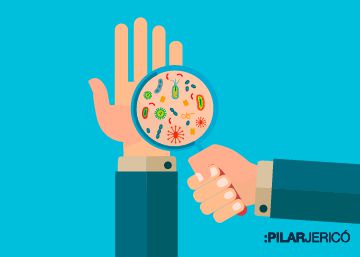 ¿Por qué las bacterias de nuestro organismo también necesitan una dieta rica y saludable?
