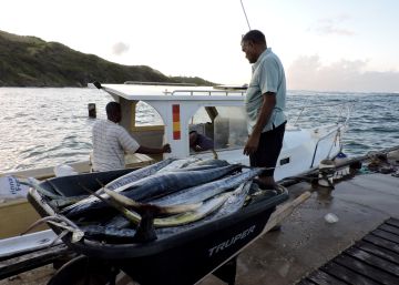 Pocos se acuerdan de los pequeños pescadores