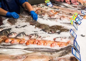 Anisakis: ¿han cambiado las recomendaciones sobre la congelación del pescado?