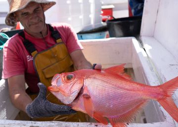 La última jornada de pesca en aguas marroquíes