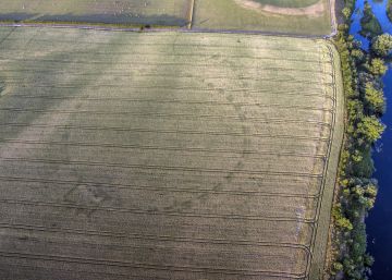 La sequía desvela un enorme monumento prehistórico enterrado en Irlanda