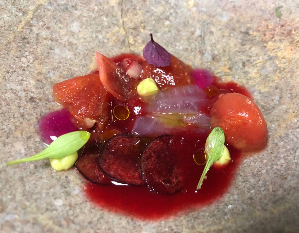 ENSALADA ROJA: VINAGRETA DE CEREZA, SANDÍA CARAMELIZADA, GEL DE SHISO ROJO, CEBOLLA MORADA, APIO Y CILANTRO CAPEL