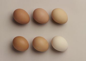 Una forma de prevenir la salmonelosis en 10 segundos