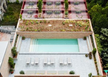 Vegetación y arquitectura, una convivencia necesaria