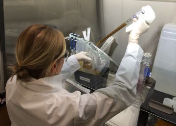Un banco de heces para combatir una bacteria resistente