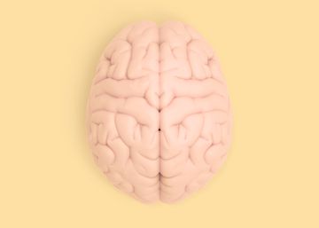 Salir con amigos y otras actividades de ocio que potenciarán su cerebro, según la ciencia