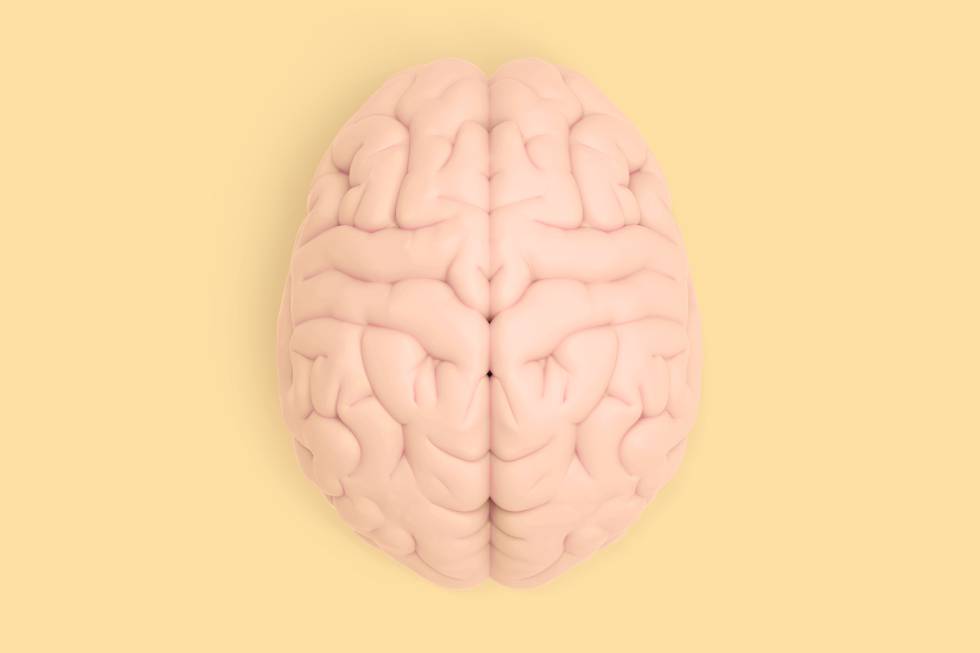 cerebro