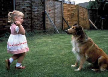 40 años de la primera niña probeta: La vida de Louise Brown