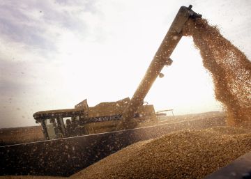 La justicia europea pone trabas a la edición genética en plantas