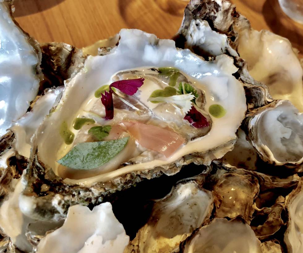 OSTRA, JEREZ Y CITRICOS CAPEL