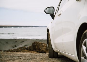 Cuatro perros mueren asfixiados en el maletero de un coche en Gandía