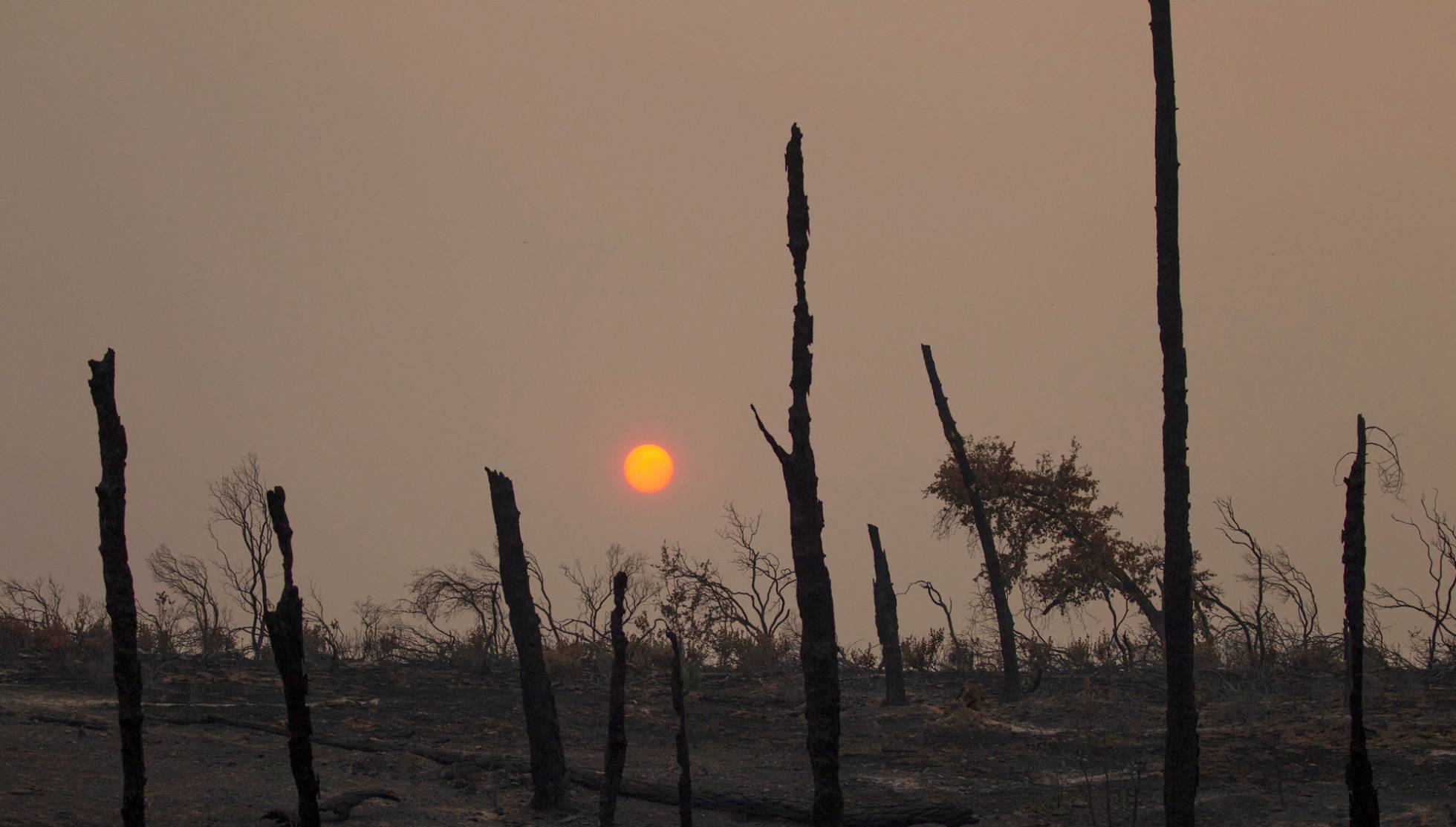Miles de personas evacuadas por un incendio de California