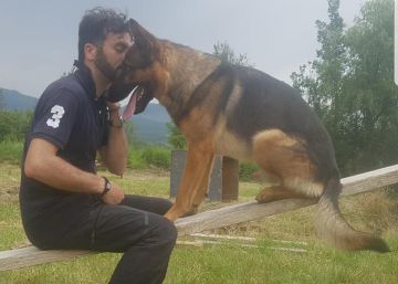 Muere Kaos, el héroe canino de los terremotos de Italia