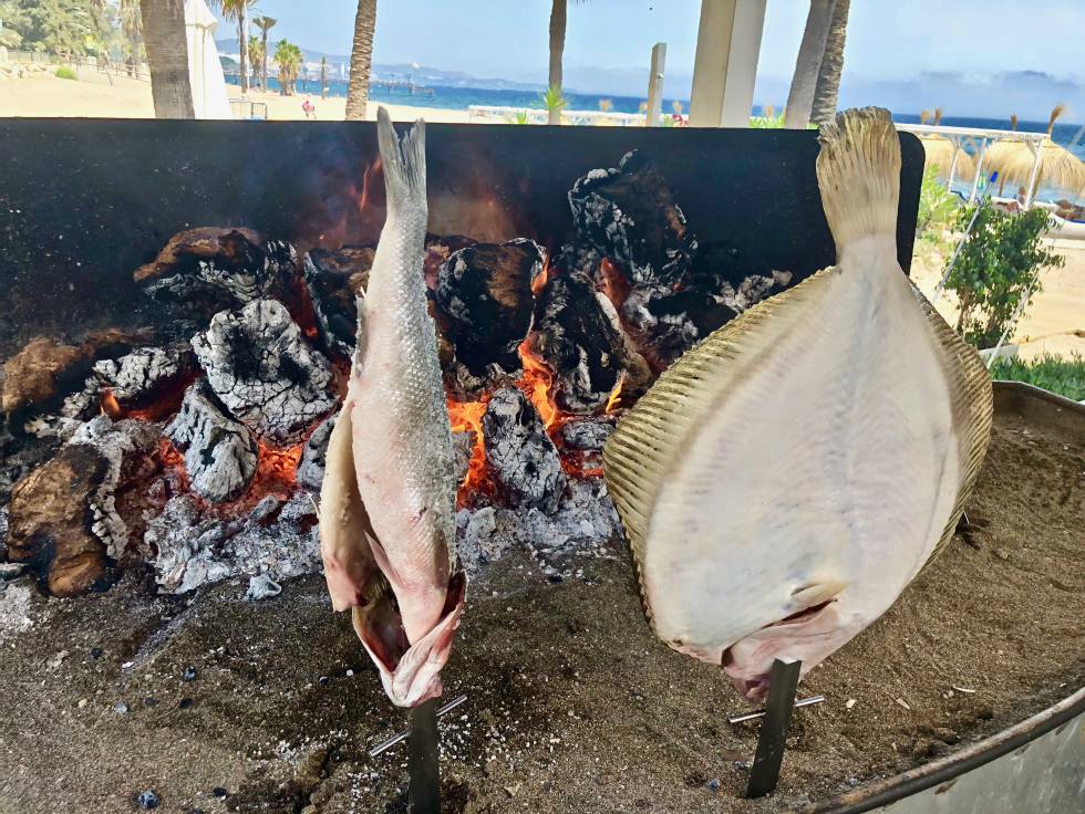 RODABALLO Y LUBINA CAPEL