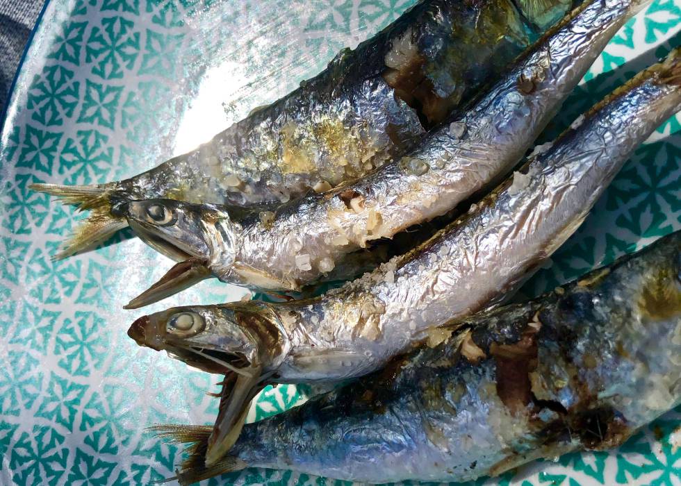 SARDINAS Y BOQUERONES AL ESPETO (EN EL CENTRO LOS BOQUERONES CON LA BOCA ABIERTA) CAPEL