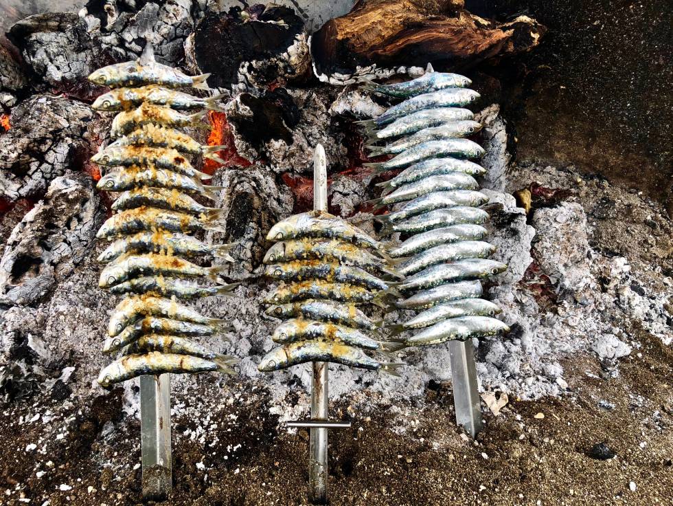 SARDINAS CAPEL