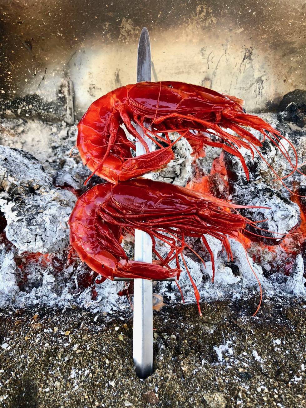 CARABINEROS AL ESPETO