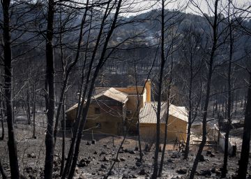 Los efectos del incendio en Llutxent