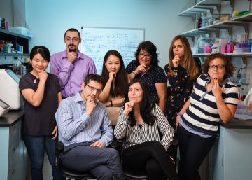 Impedir las comunicaciones del núcleo celular para frenar el cáncer
